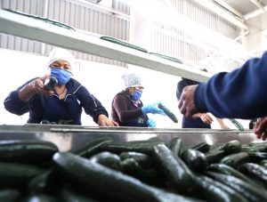 Crece 4.1% la ocupación laboral en Sinaloa