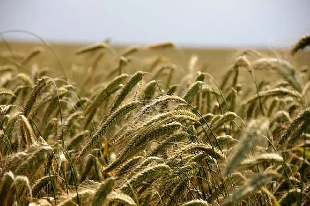 México y Francia impulsan cooperación en sector agrícola