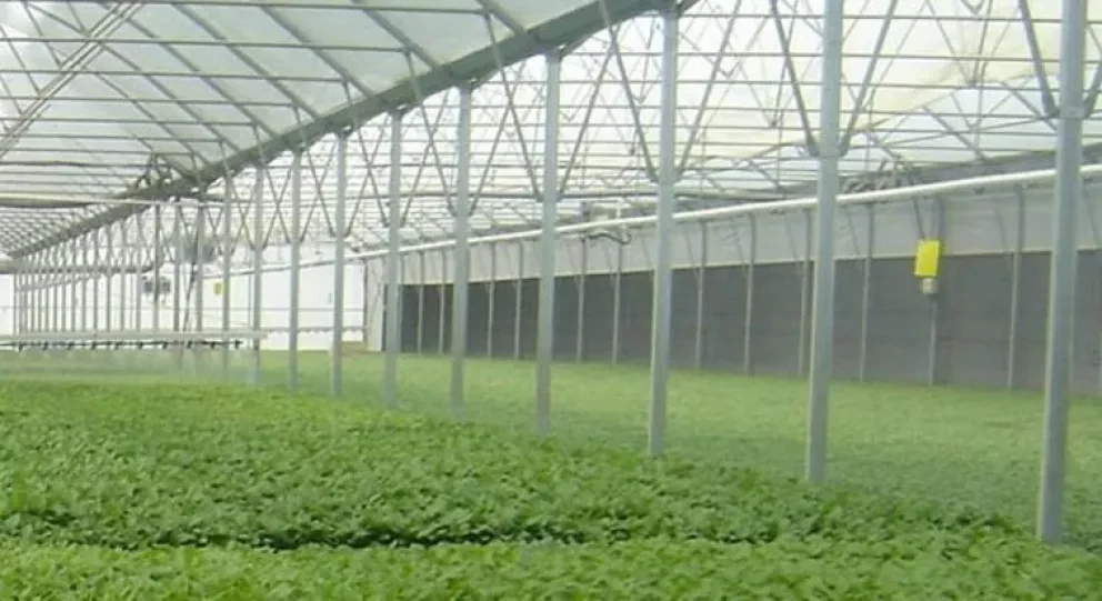Sinaloa,? tendrá el primer centro de innovación agropecuaria