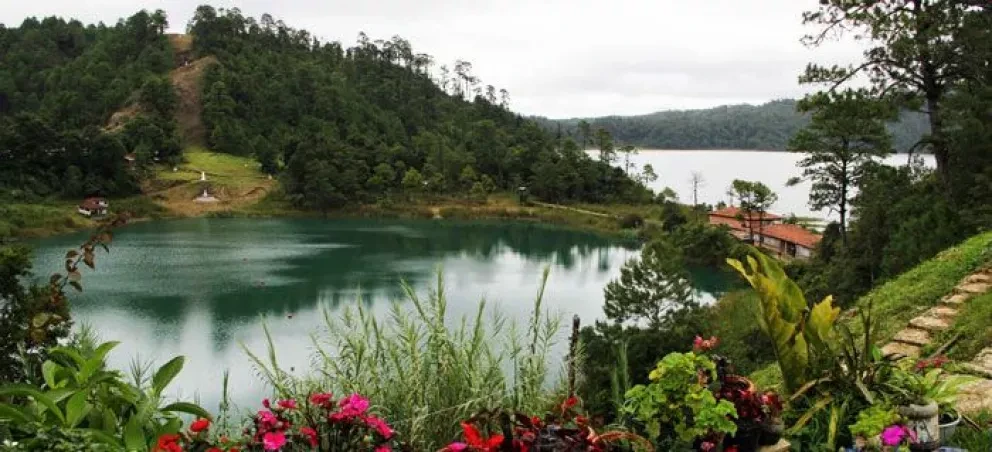 No a la deforestación, sí a las Áreas Naturales Protegidas