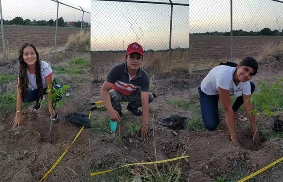 Jóvenes plantan árboles en Bachillerato Intercultural de Villa Juárez