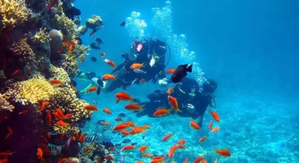 Islas Revillagigedo la reserva marina más grande de Norte América