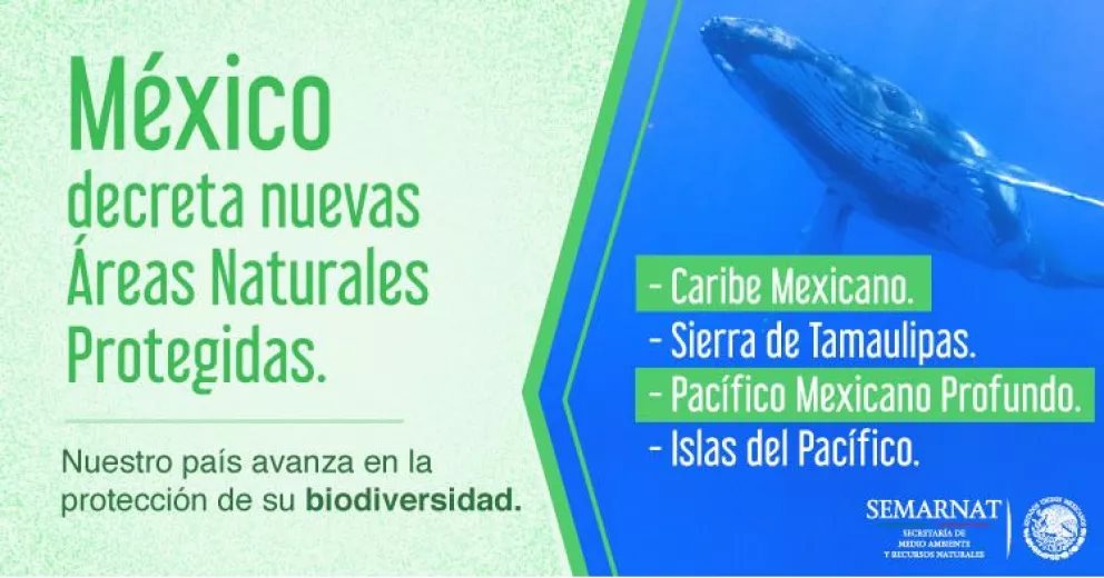Conservación de las Áreas Naturales Protegidas en México.