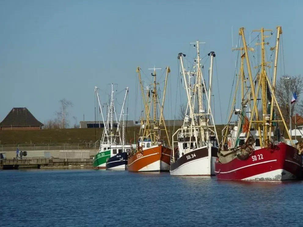 Certifica Profepa 521 barcos camaroneros en Sinaloa