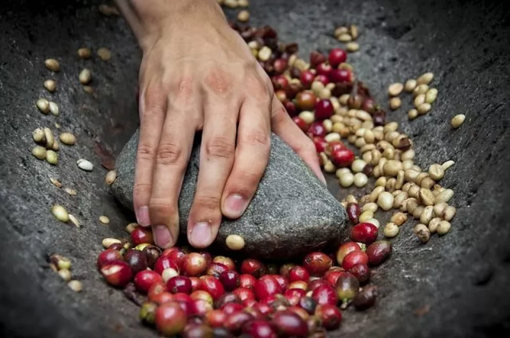 Los mejores destinos turísticos cafetaleros en México