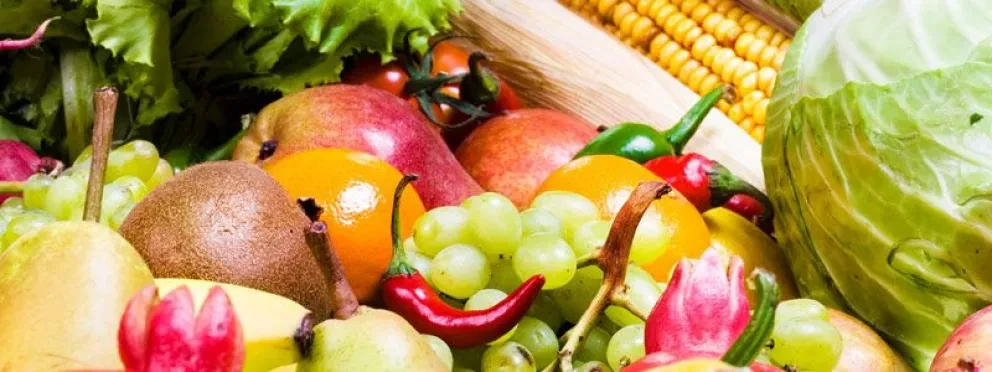 I Congreso Internacional sobre Inocuidad y Calidad Alimentaria en Culiacán