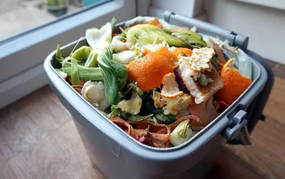 Recomendaciones para reducir el desperdicio de alimentos