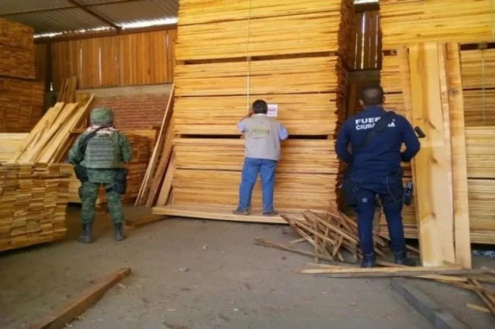 Madera decomisada es DONADA a escuela serrana de Sinaloa
