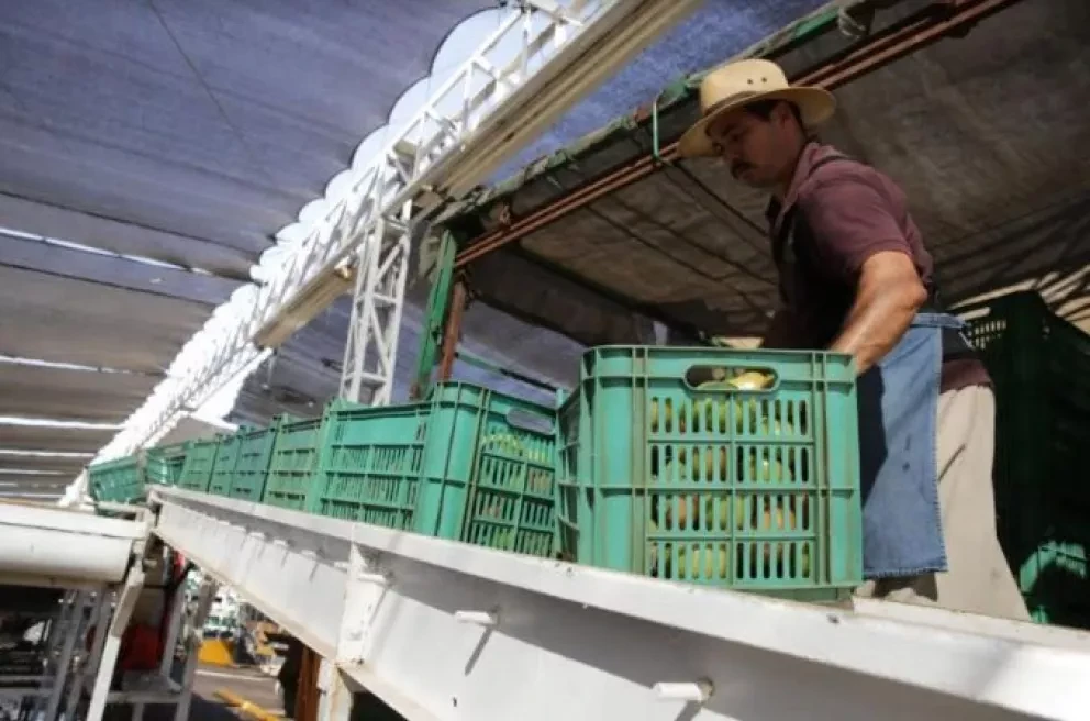 Sinaloa primer lugar nacional en generación de empleos formales en septiembre
