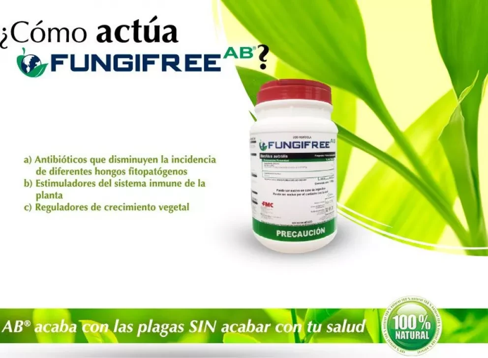UNAM desarrolla primer biofungicida sin toxicidad
