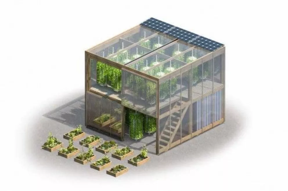 Granja urbana produce 6 toneladas de alimentos en 163 M2