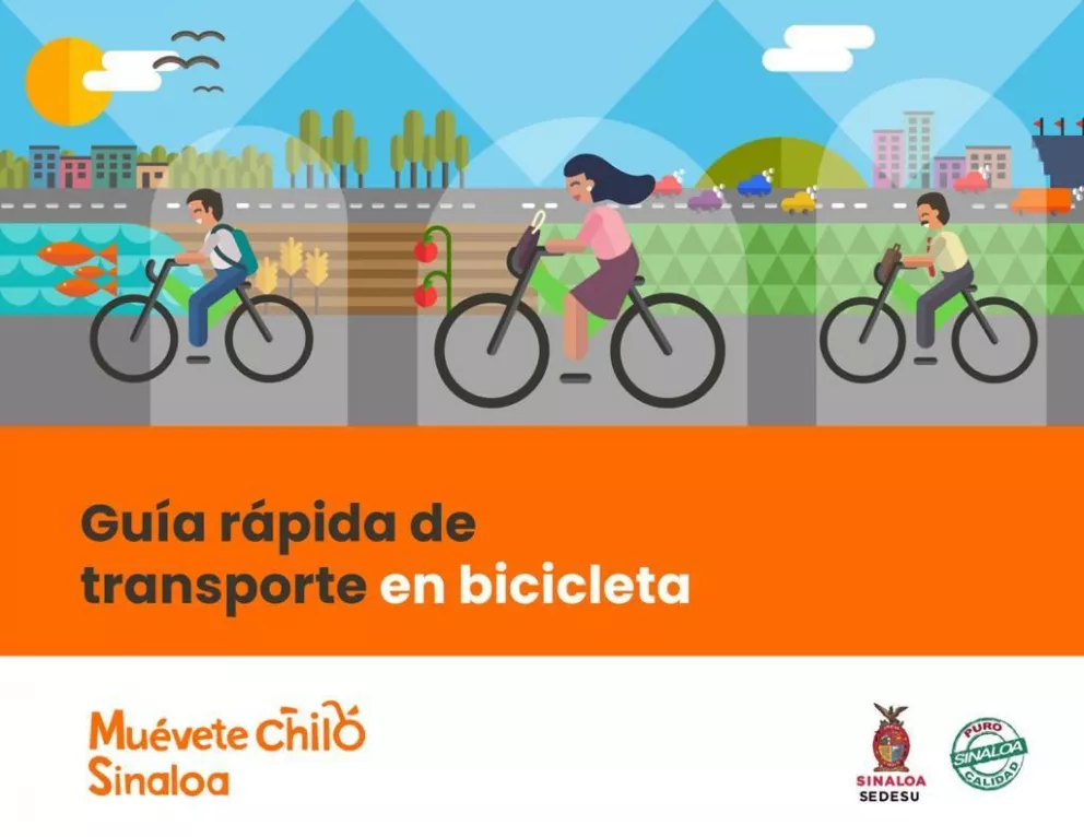 Conoce la Guía Rápida del Transporte en Bicicleta y descubre tu ciudad