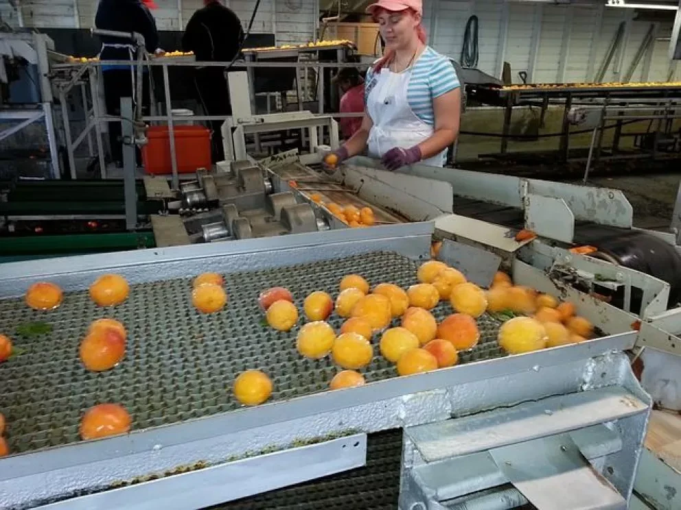 México, décimo segundo productor de alimentos en el mundo