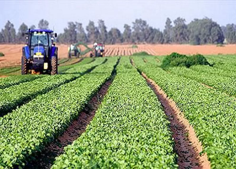 La Agricultura Sinaloense en Primer Lugar.