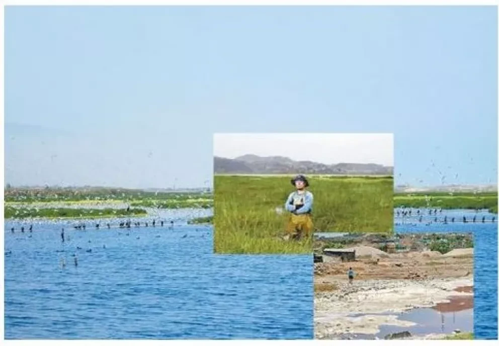Científico resucita lago en 15 días con nanotecnología