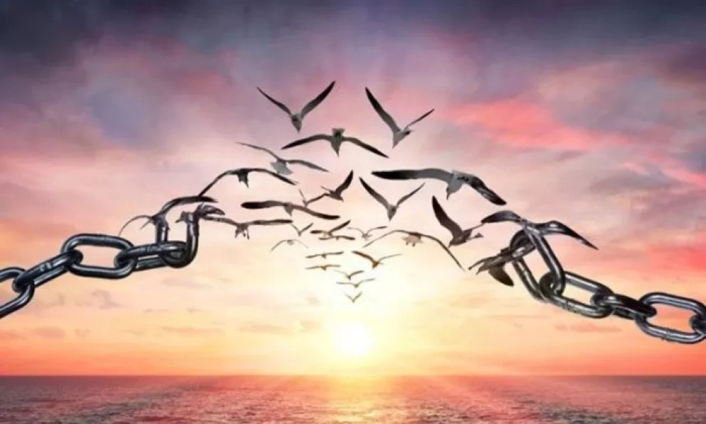 Guía Ética: ¿Cómo ejercer la libertad?