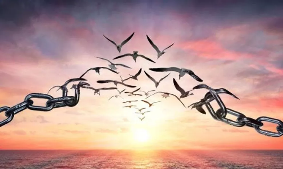 Guía Ética: ¿Cómo ejercer la libertad?