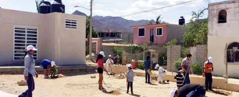Parques Alegres, Los Cabos Y Sheraton Grand, Hacienda Del Mar Realizan Campaña De Reforestación