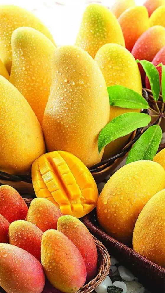 La Producción de Mango en México Aumentó un 36%.