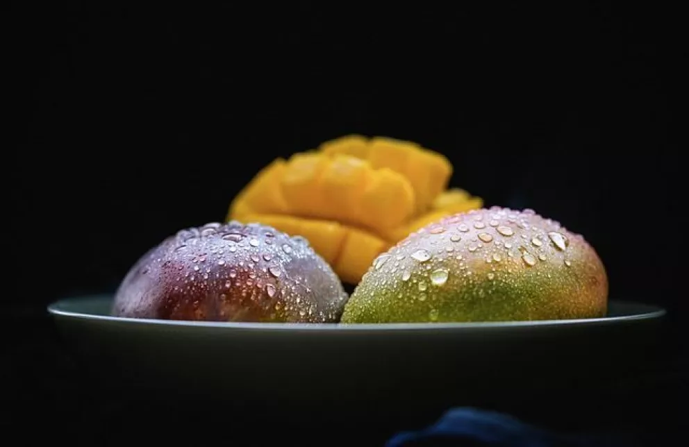 Investigan técnicas para incentivar producción de mango en Sinaloa