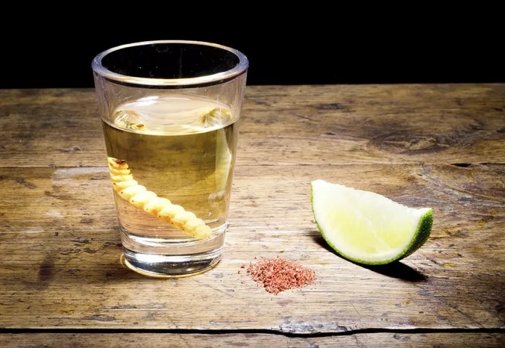 El mezcal, embajador entre las bebidas de México