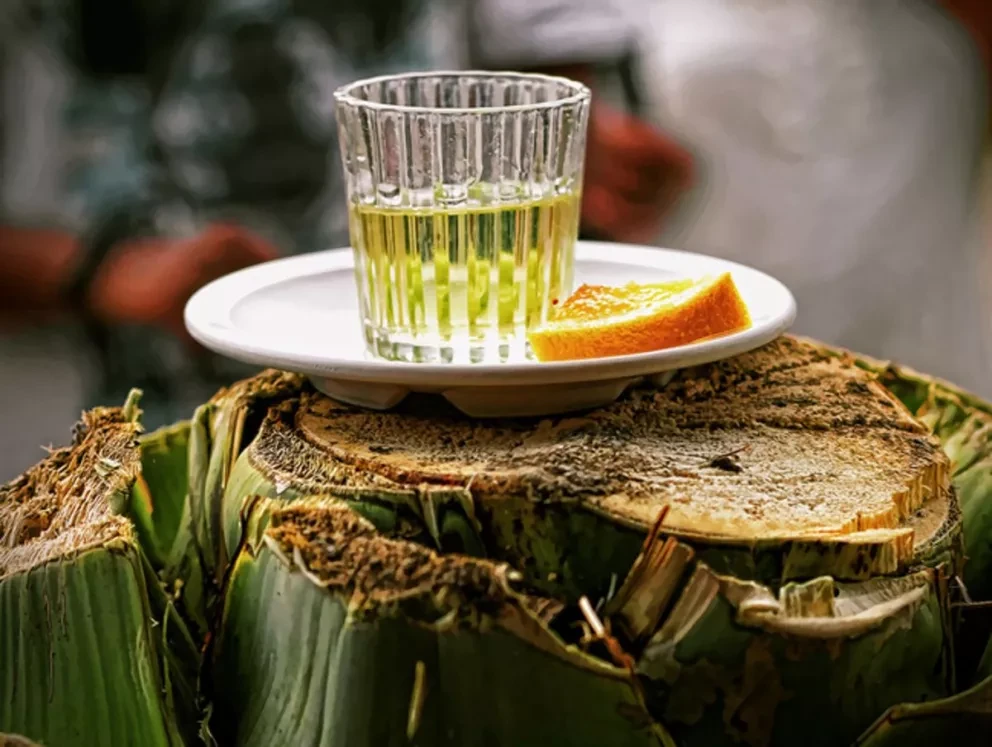 Inicia en Oaxaca Bebidas y destilados de México