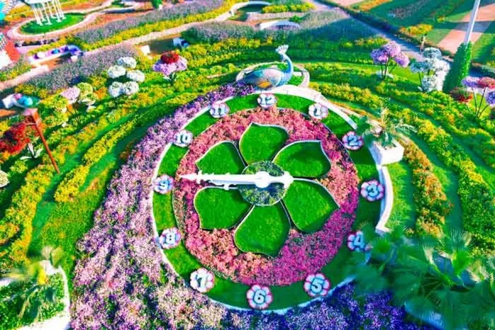 Así se ve el jardín más grande del mundo