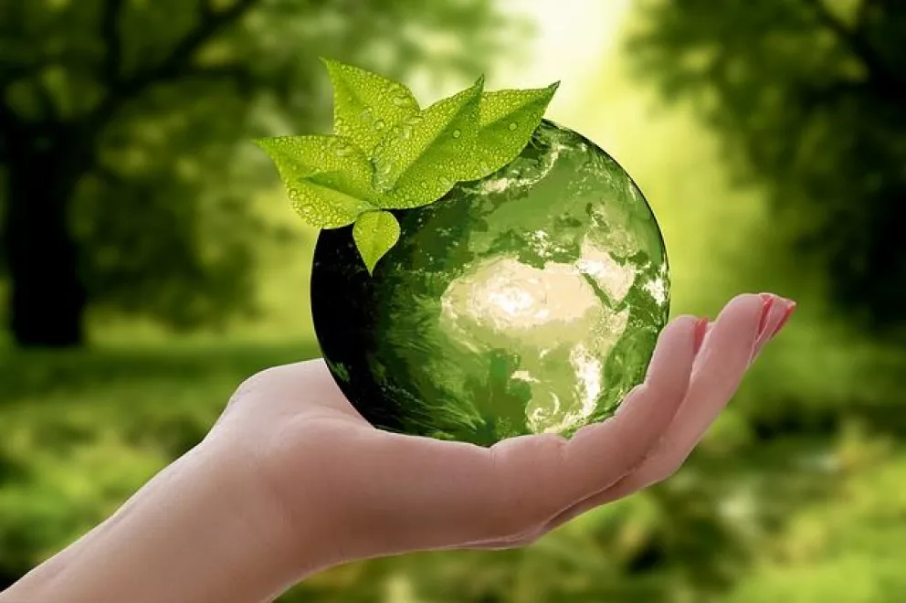 15 acciones para cuidar el medio ambiente