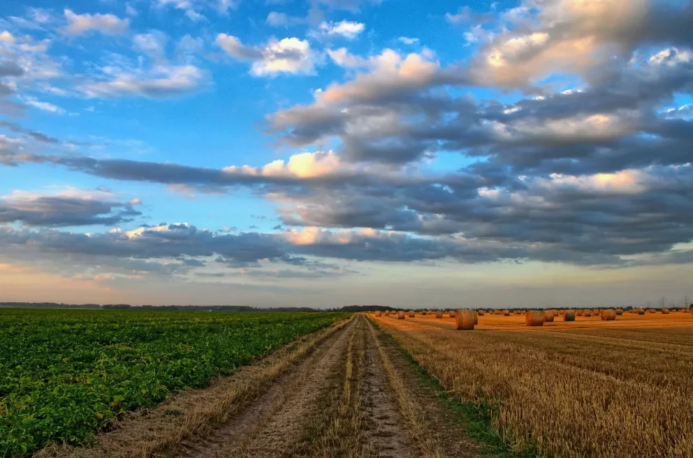 La Derrama Económica de los Productos Agroalimentarios.