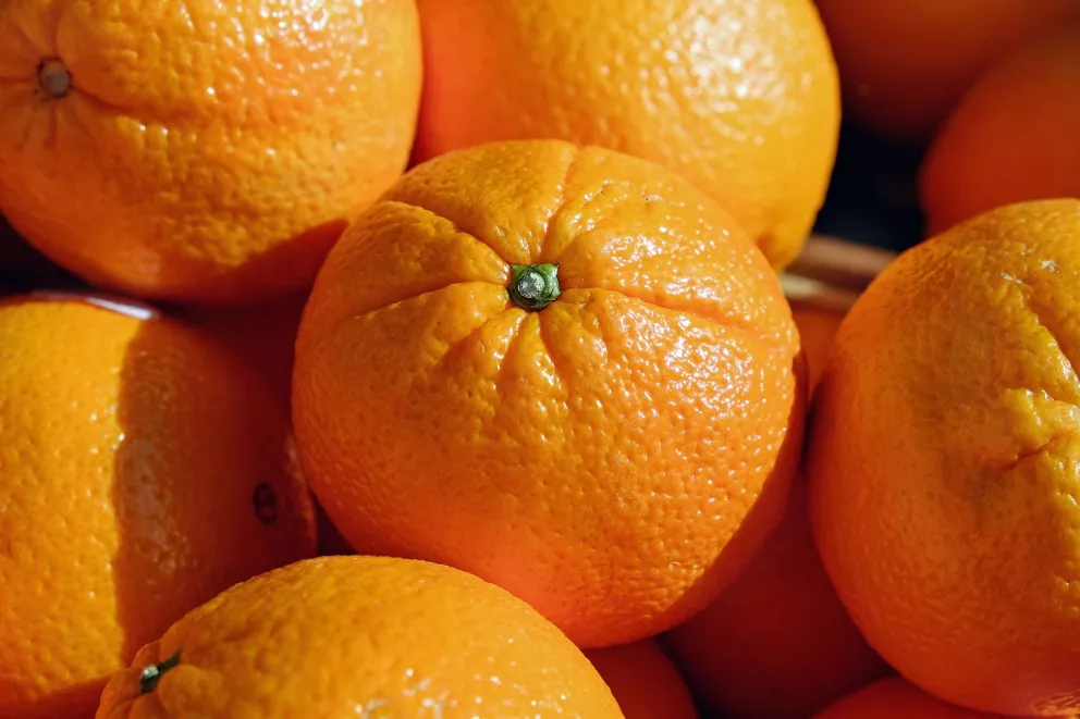 Cáscara de naranja remueve metal cancerígeno del agua