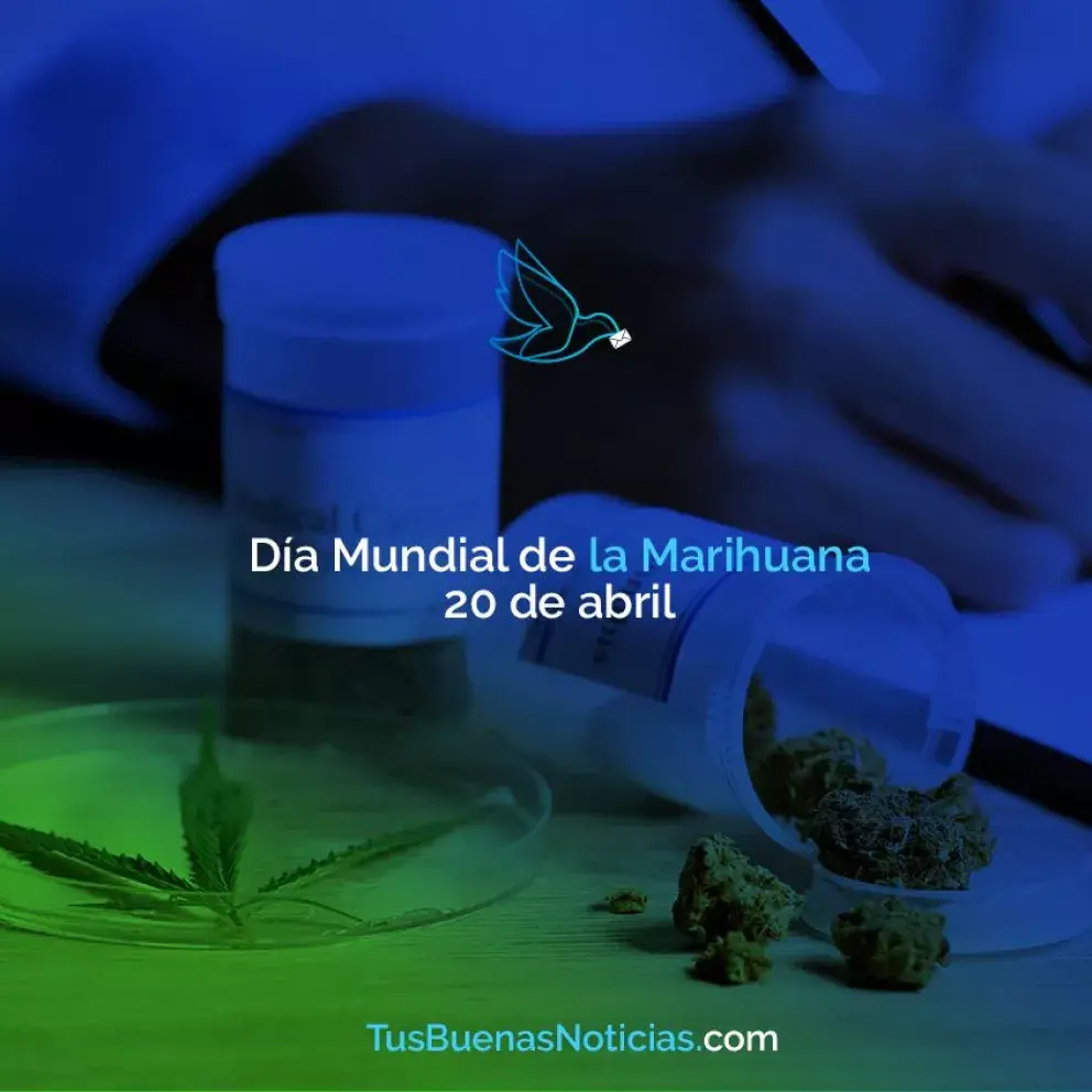Cannabis medicinal como fin terapéutico