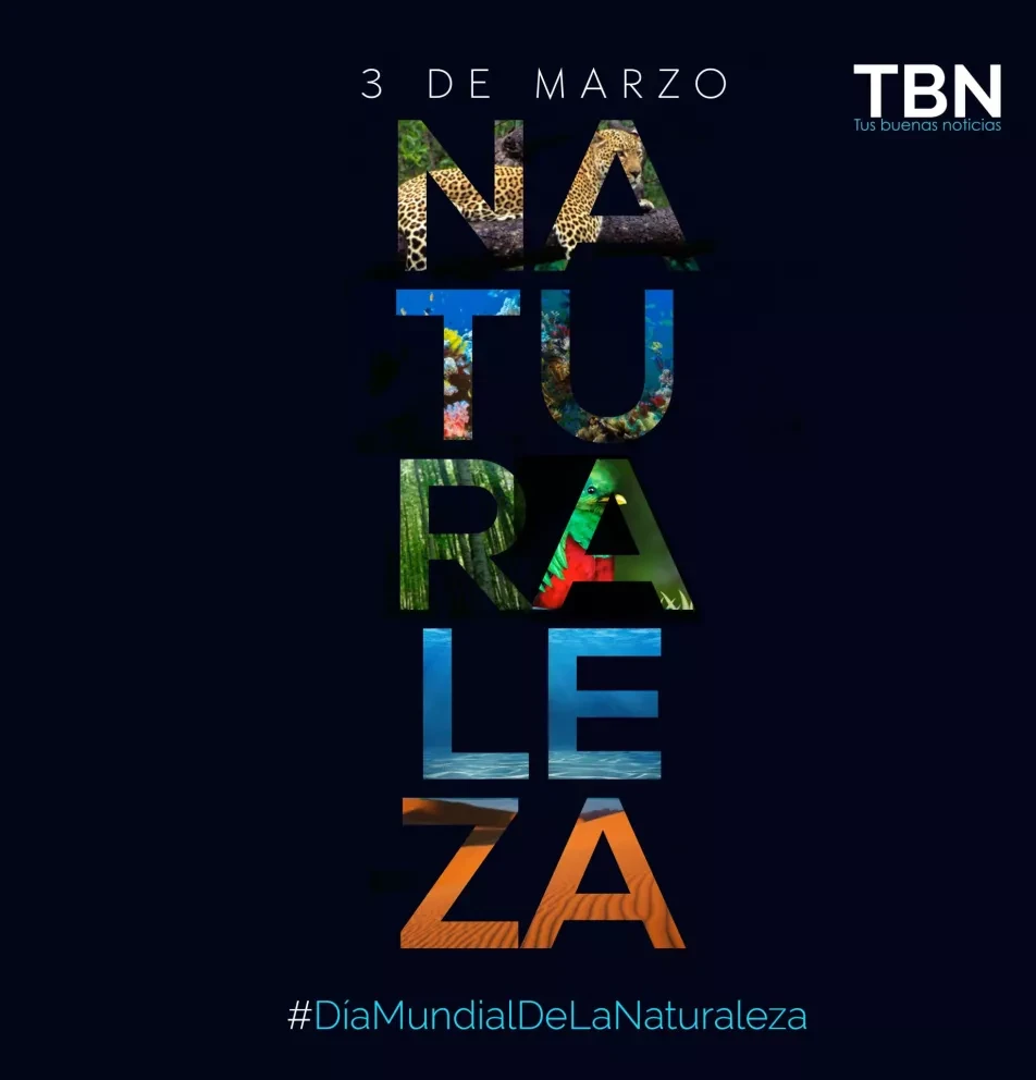 Día Mundial de la Naturaleza: Conoce la flora sinaloense.