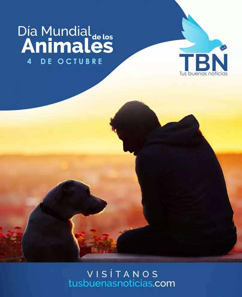 La importancia del cuidado de los animales