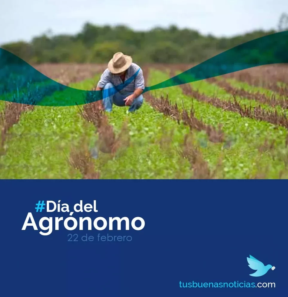 Día del Agrónomo: Un esfuerzo que cultiva vida.