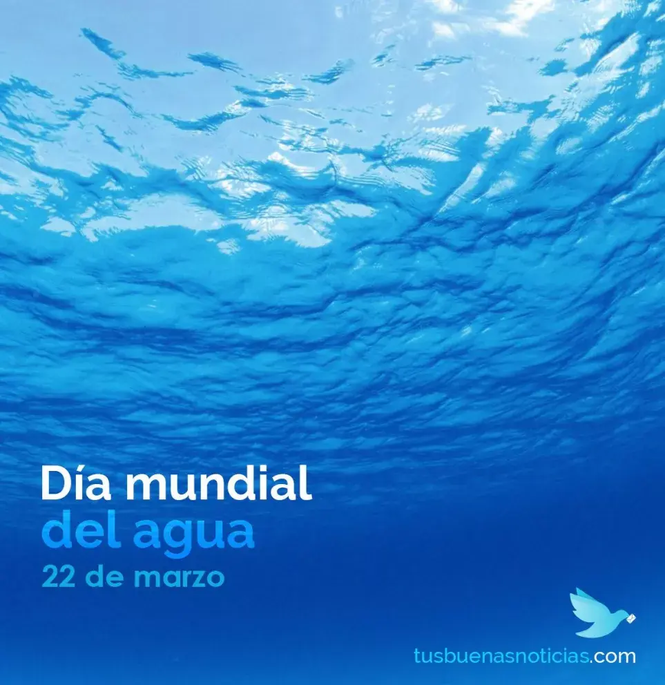 El agua, un elemento esencial para la vida.