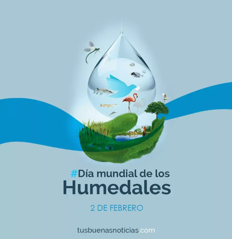 Día Mundial de los Humedales: Cuidemos el Planeta.