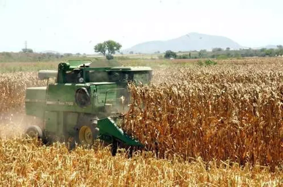 Sinaloa mantiene liderazgo nacional en sector primario
