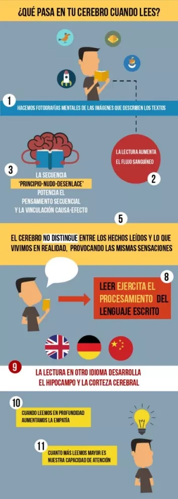 ¿Qué pasa en el cerebro durante la lectura?