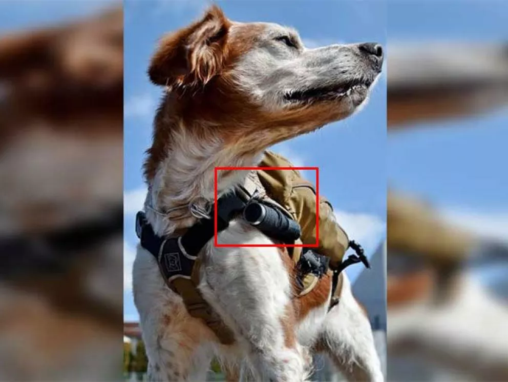 Llega robo-perro de rescate, está equipado con cámara y GPS