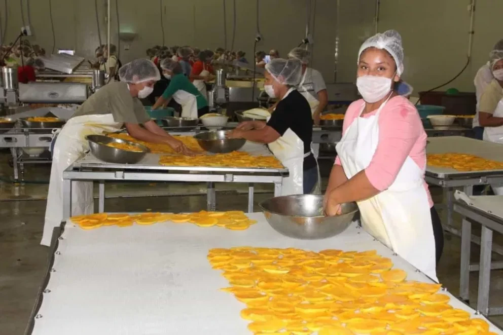 Sinaloa Primer lugar nacional en el crecimiento de empleo de 2.7%