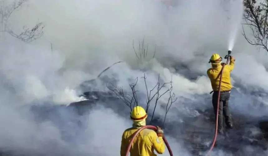 Temporada de incendios forestales en México y Sinaloa