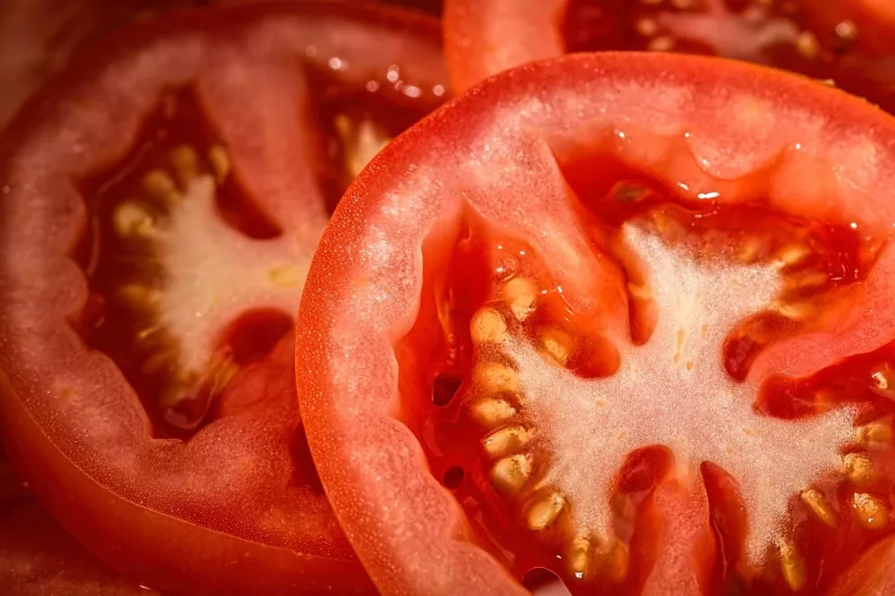 Sinaloa es el principal productor de Jitomate Mexicano