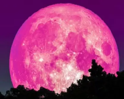 Hoy no te pierdas la superluna rosa visible en todo el mundo, un fenómeno extraordinario