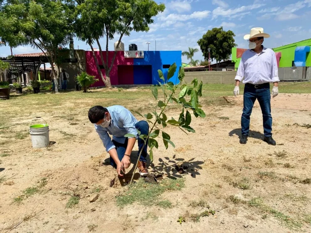 Arborizando SEDESU y ganaderos conmemoran el Día del Medio Ambiente