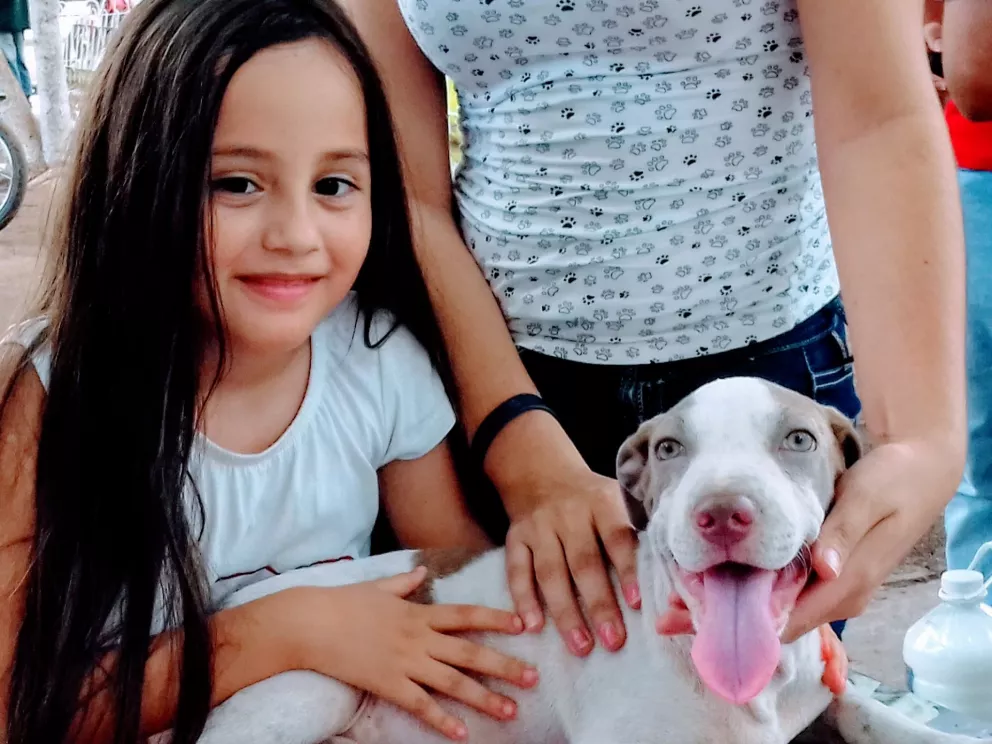 Atención a 606 mascotas en Villa Juárez beneficia a familias