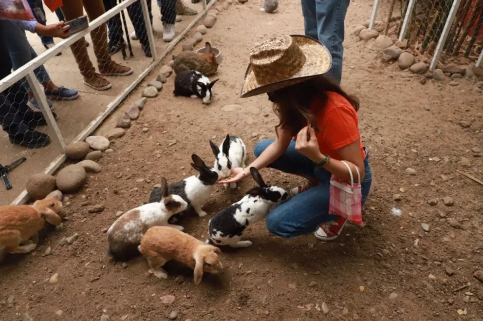 La Granja, la nueva atracción del Zoológico de Culiacán