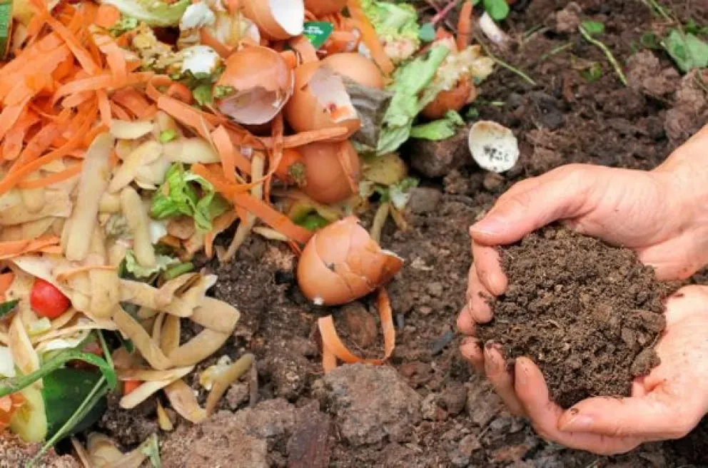Como hacer composta para tu jardín