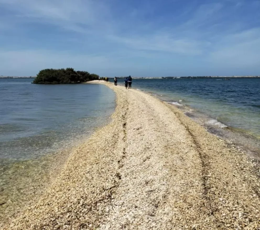 Llévate tu basura de la bahía Santa María y déjala limpia
