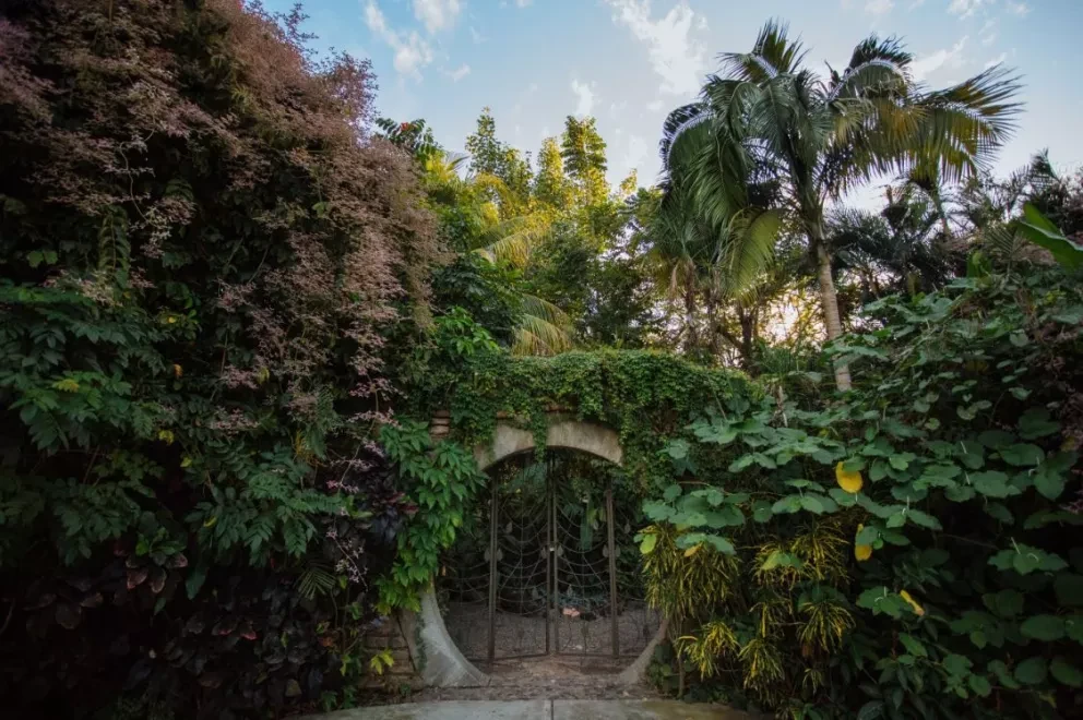 Qué hacer en Jardín Botánico Culiacán durante las vacaciones