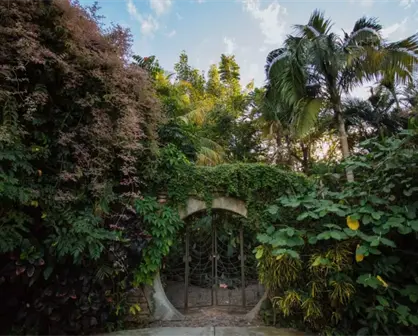 Qué hacer en Jardín Botánico Culiacán durante las vacaciones